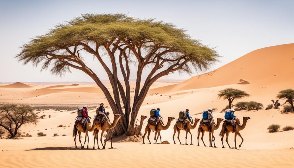 Expedition Subsahara Investment Growth